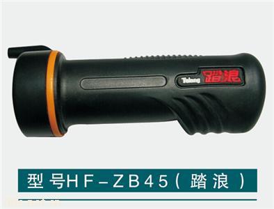  踏浪电动车调速器HF-ZB45（踏浪）